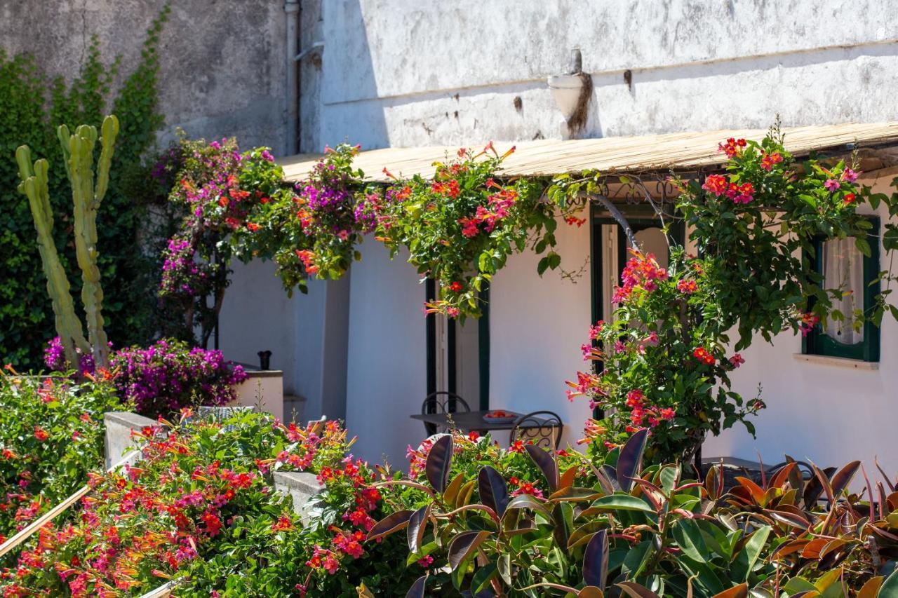 Il Pettirosso In Positano Villa Bagian luar foto