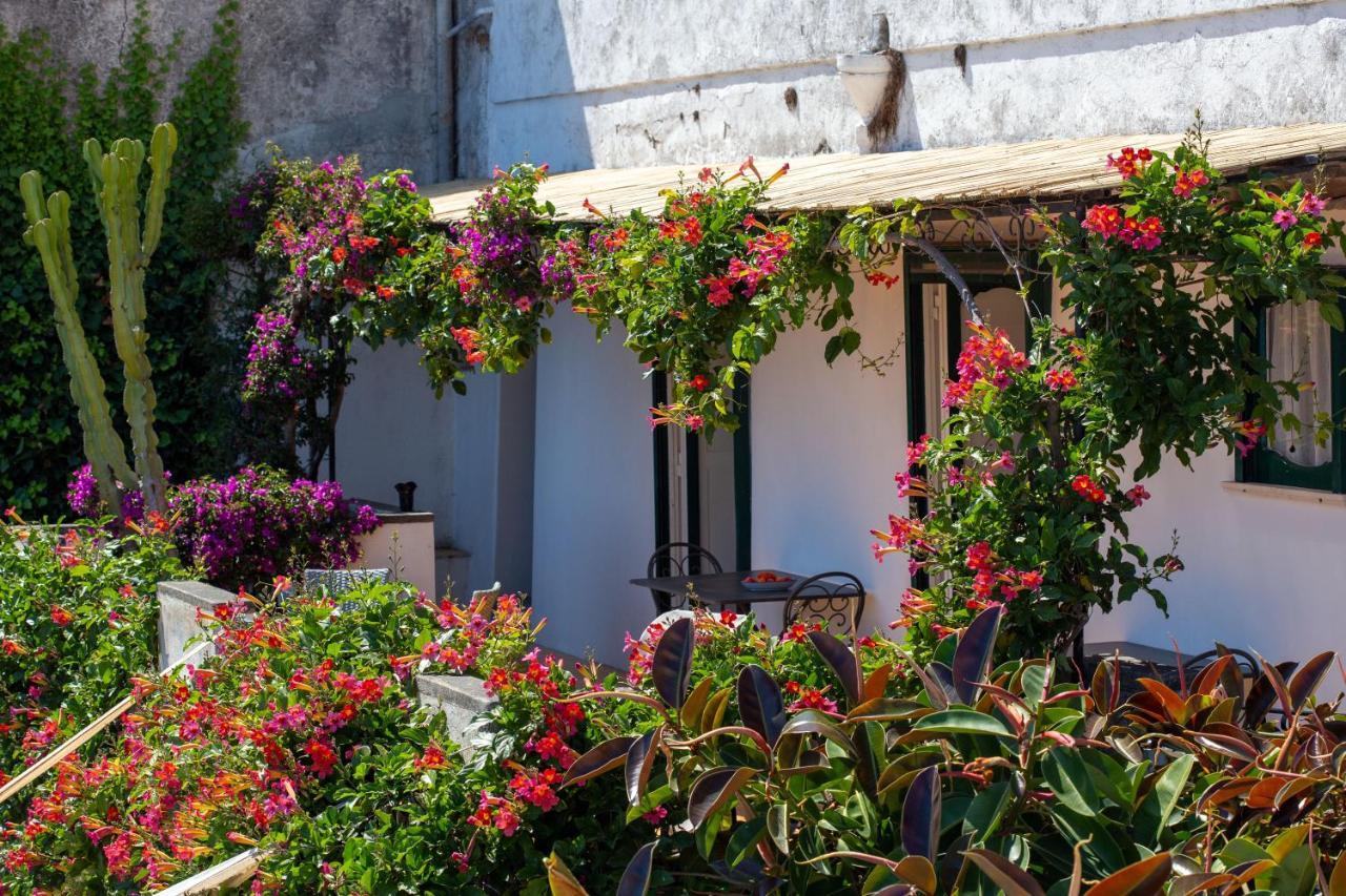 Il Pettirosso In Positano Villa Bagian luar foto