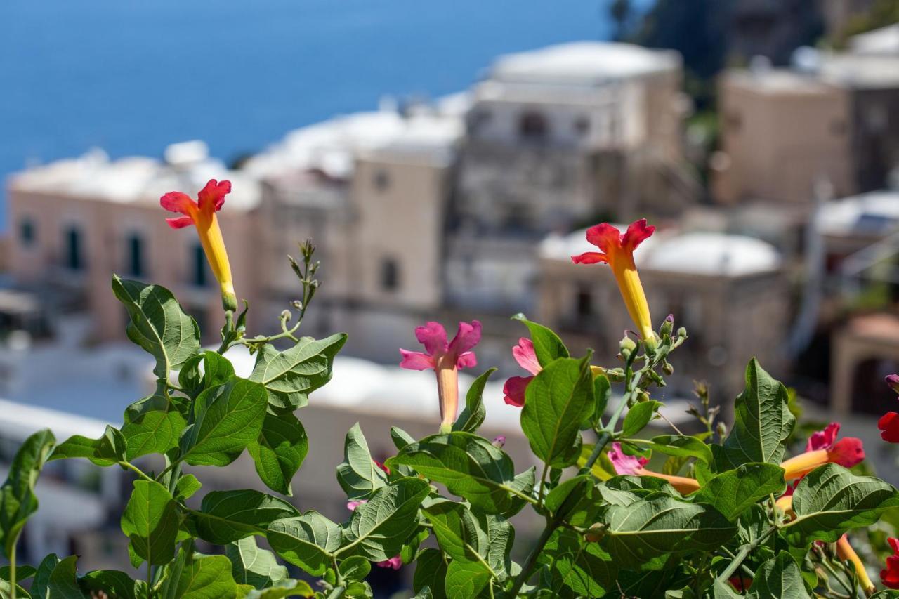 Il Pettirosso In Positano Villa Bagian luar foto